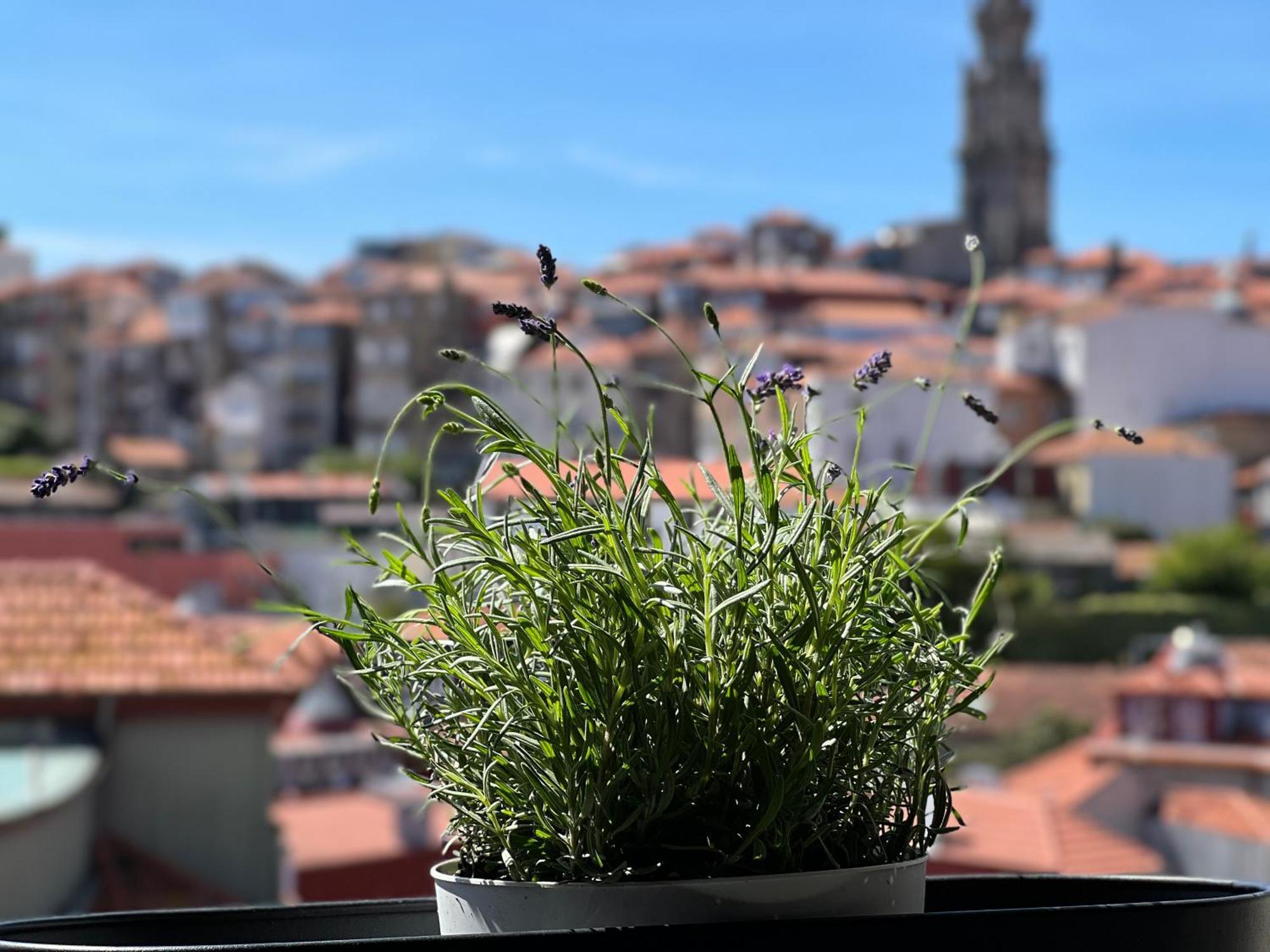 Urban Apartment Casa Da Portela Порто Екстериор снимка